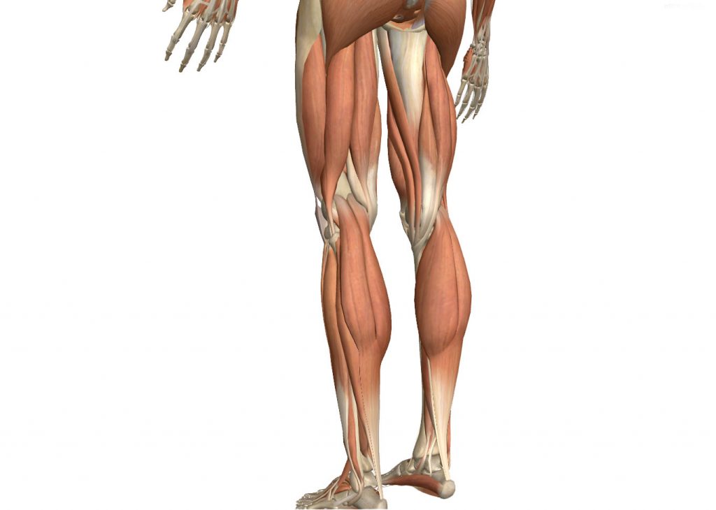 Osteopatía estructural en Córdoba